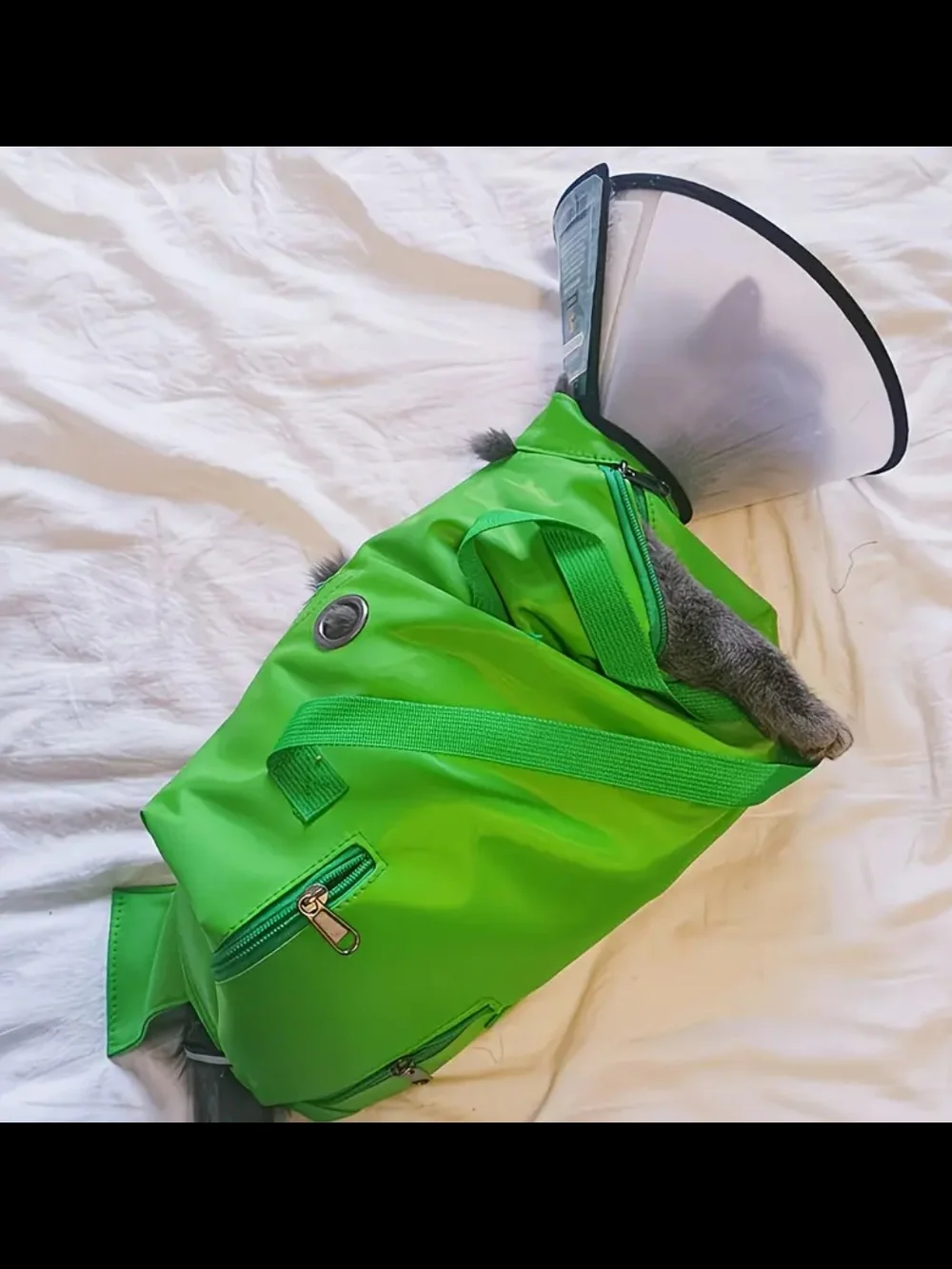 Pet Cat Or Small Dog Carrying Harness Tote - Bright Blue